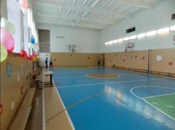 Спортивные  залы используется для организации уроков, внеурочных мероприятий и оздоровительных мероприятий.